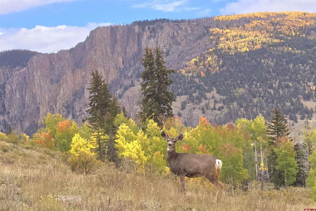 Tbd County Road 504 Bachelor Loop Creede CO 81130