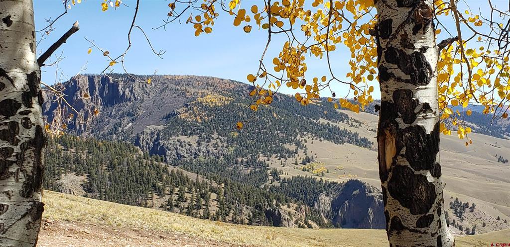 Tbd County Road 504 Bachelor Loop Creede CO 81130