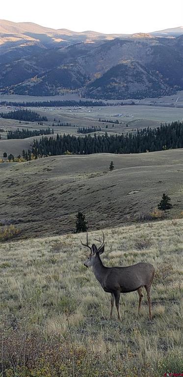Tbd County Road 504 Bachelor Loop Creede CO 81130