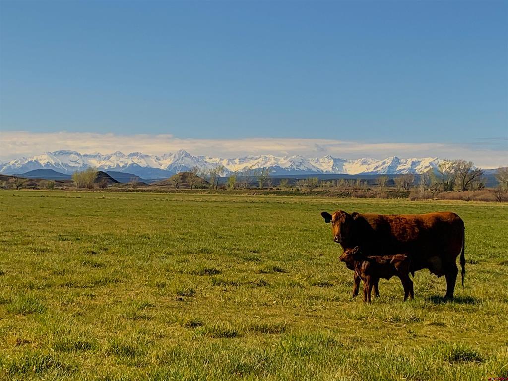 Tbd (lot 1) 6725 Road Montrose CO 81401