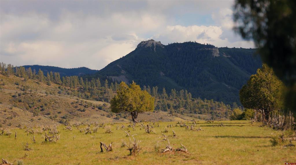 15157 County Road 500 Pagosa Springs CO 81147
