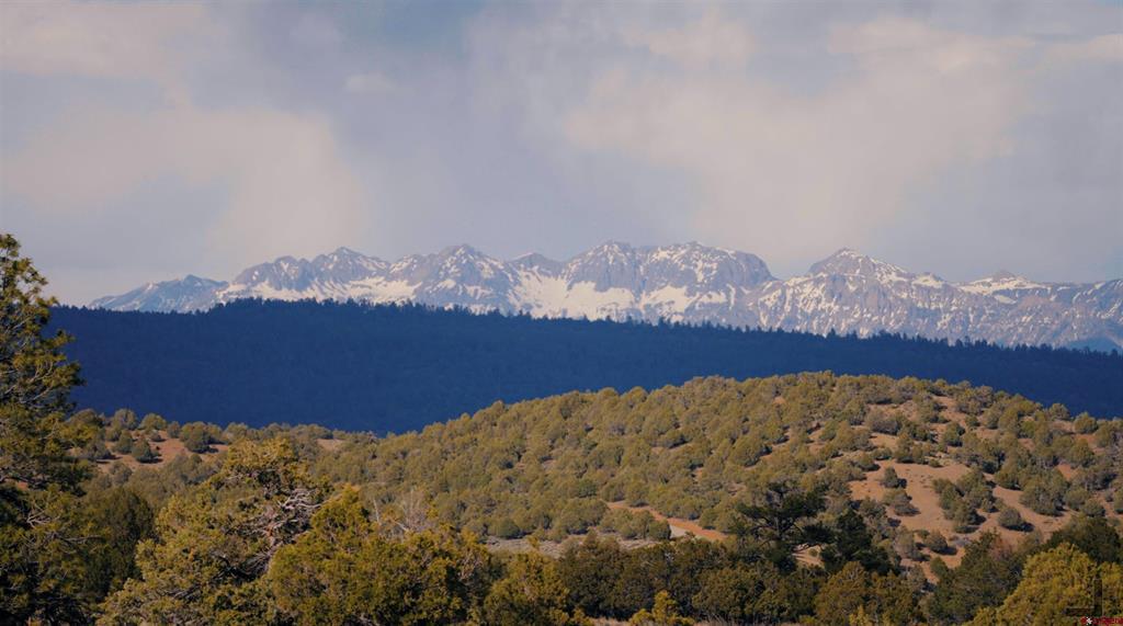 15157 County Road 500 Pagosa Springs CO 81147