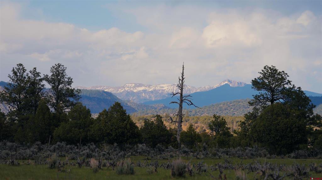 15157 County Road 500 Pagosa Springs CO 81147