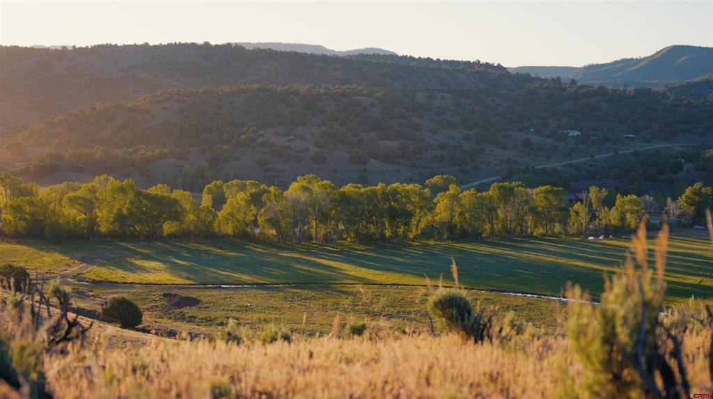 15157 County Road 500 Pagosa Springs CO 81147