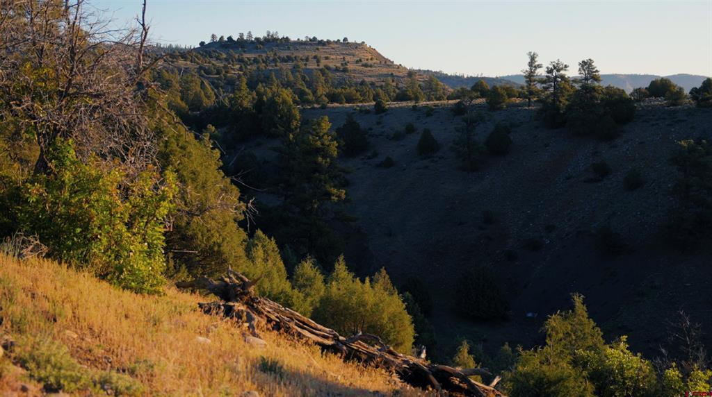 15157 County Road 500 Pagosa Springs CO 81147