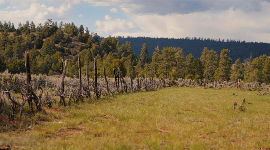 15157 County Road 500 Pagosa Springs CO 81147