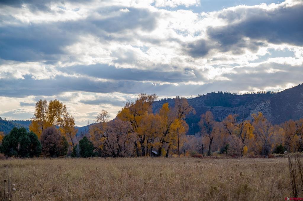 15157 County Road 500 Pagosa Springs CO 81147