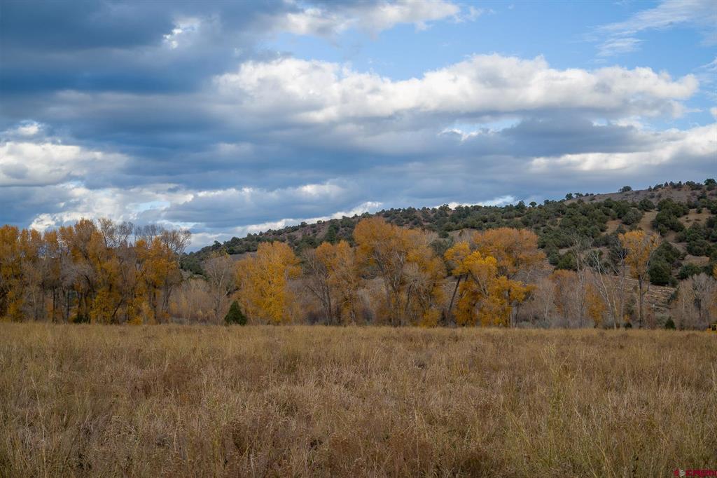 15157 County Road 500 Pagosa Springs CO 81147