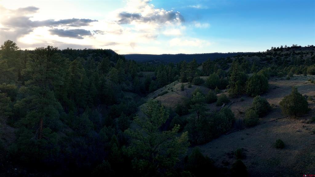 15157 County Road 500 Pagosa Springs CO 81147