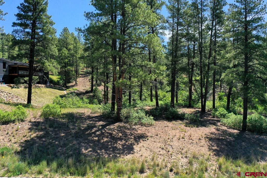 96 Wild Iris Avenue Durango CO 81301