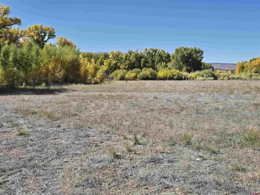 1862 River Island Drive South Fork CO 81154