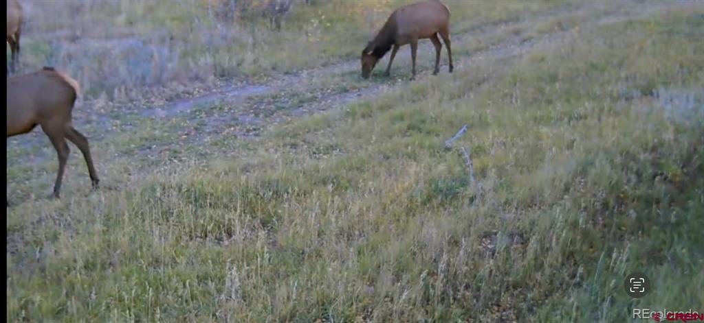 1862 River Island Drive South Fork CO 81154