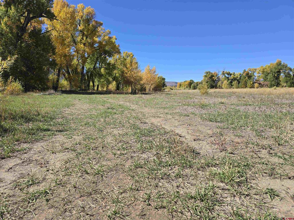 1862 River Island Drive South Fork CO 81154