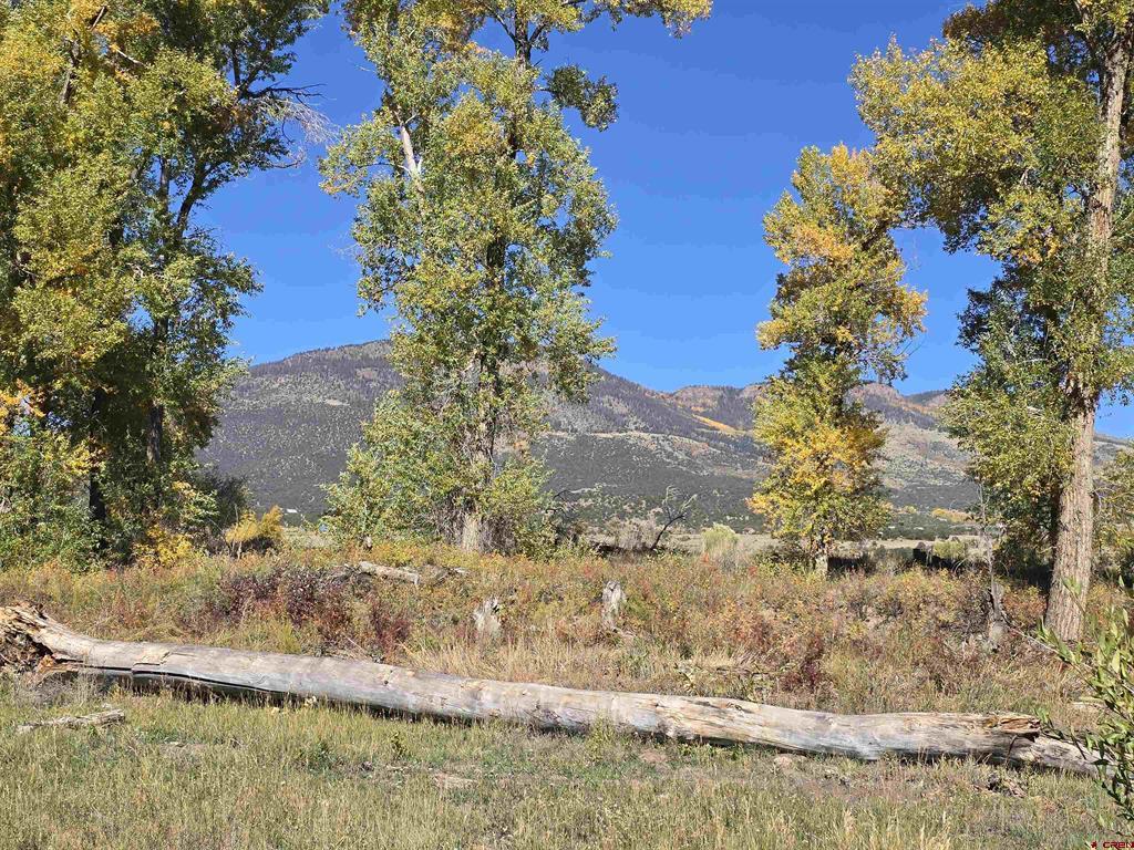 1862 River Island Drive South Fork CO 81154