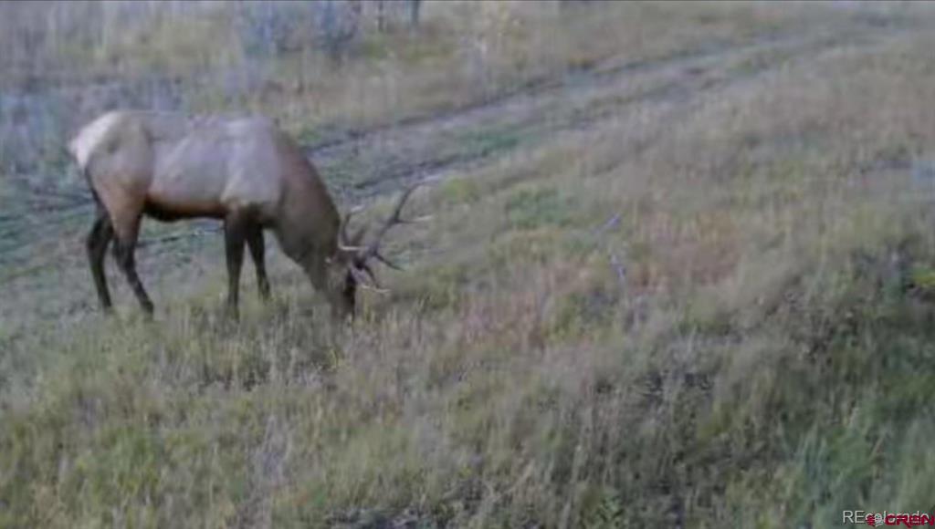 1862 River Island Drive South Fork CO 81154