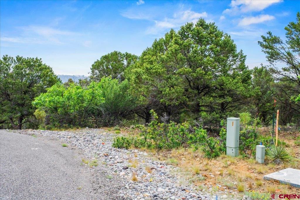 Tbd Lot 233 Woodchuck Lane Ridgway CO 81432
