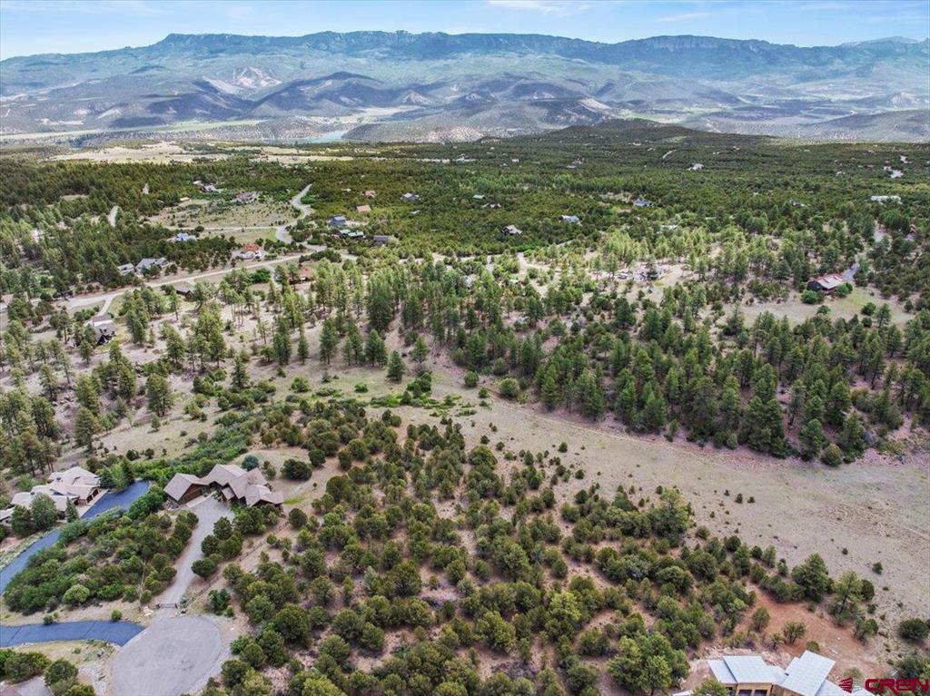 Tbd Lot 233 Woodchuck Lane Ridgway CO 81432