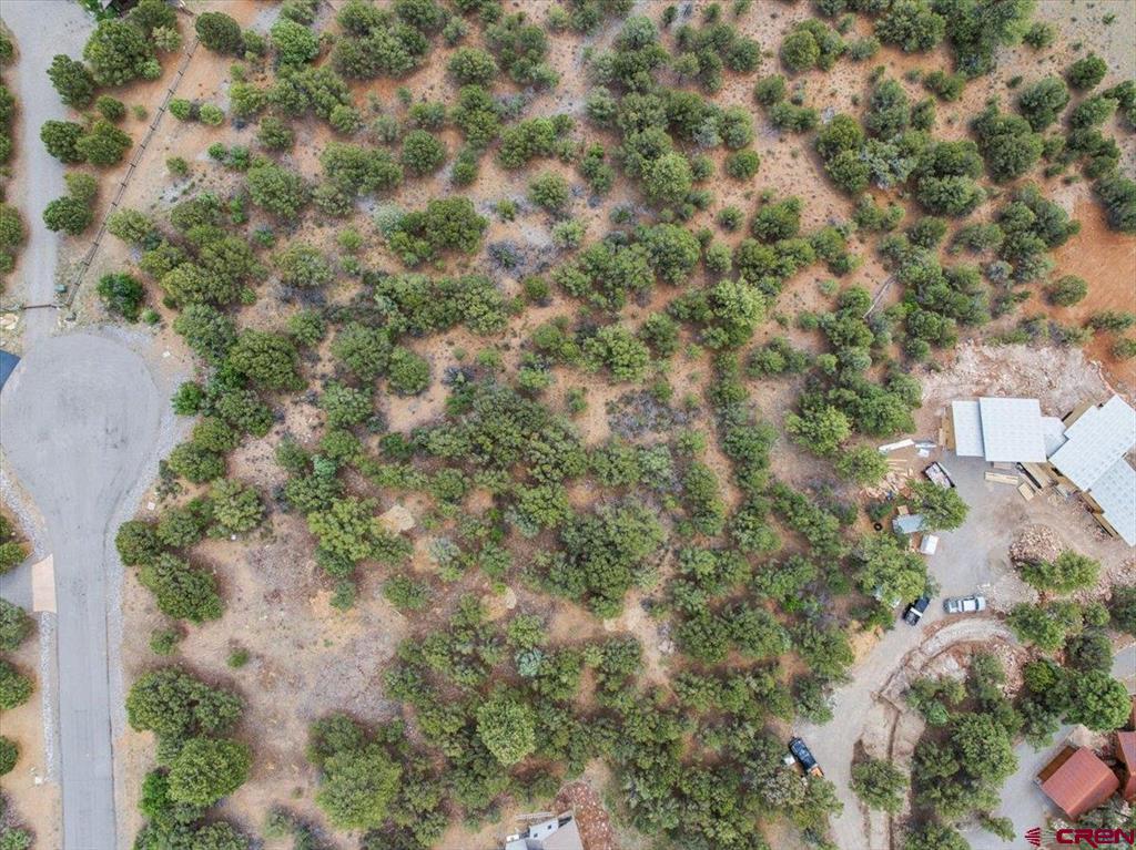 Tbd Lot 233 Woodchuck Lane Ridgway CO 81432