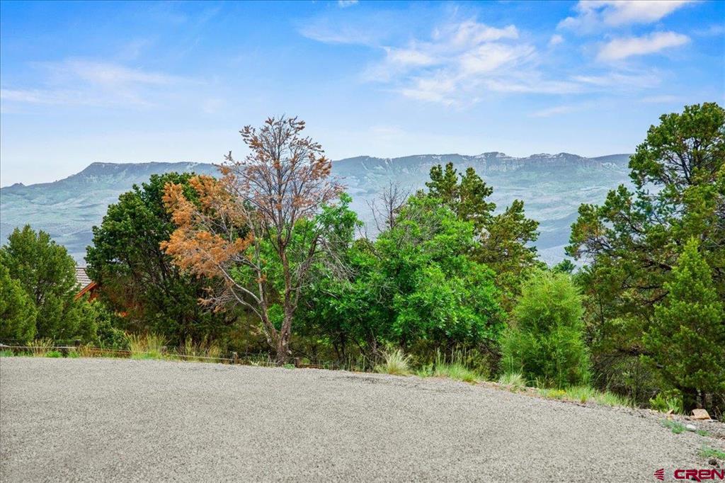 Tbd Lot 233 Woodchuck Lane Ridgway CO 81432