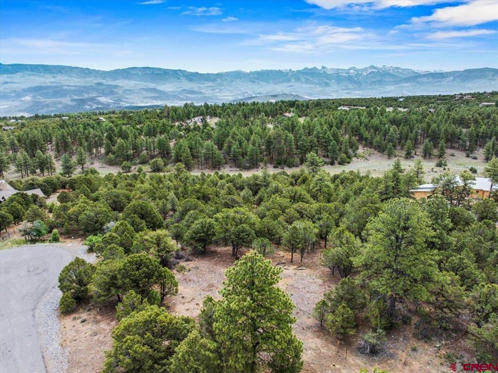 Tbd Lot 233 Woodchuck Lane Ridgway CO 81432