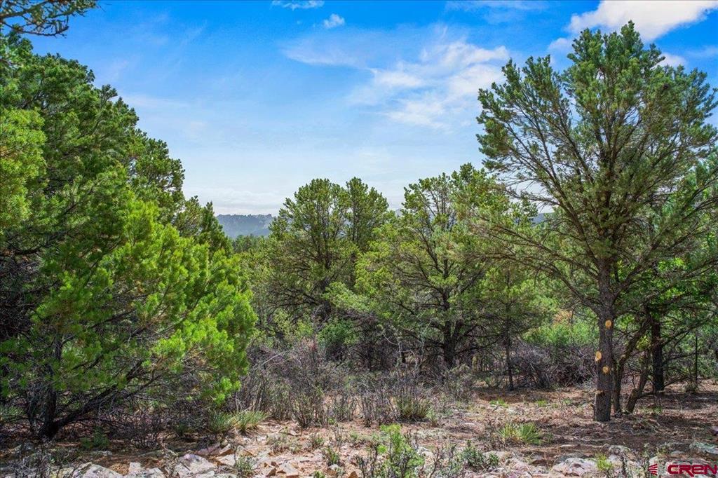 Tbd Lot 233 Woodchuck Lane Ridgway CO 81432
