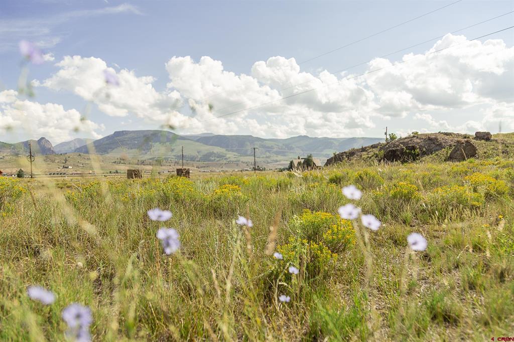 410 Mac Farlane Drive Creede CO 81130