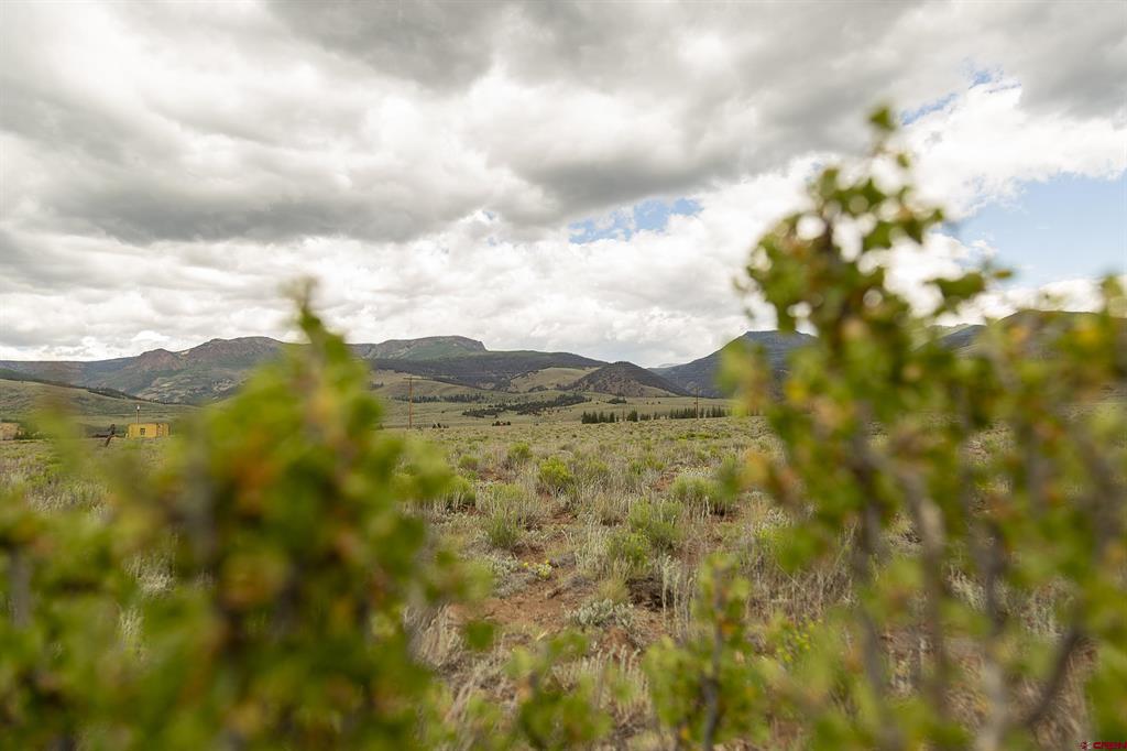 410 Mac Farlane Drive Creede CO 81130