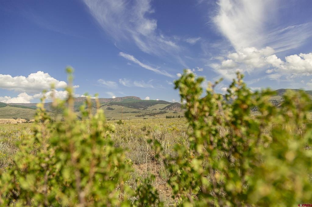 410 Mac Farlane Drive Creede CO 81130
