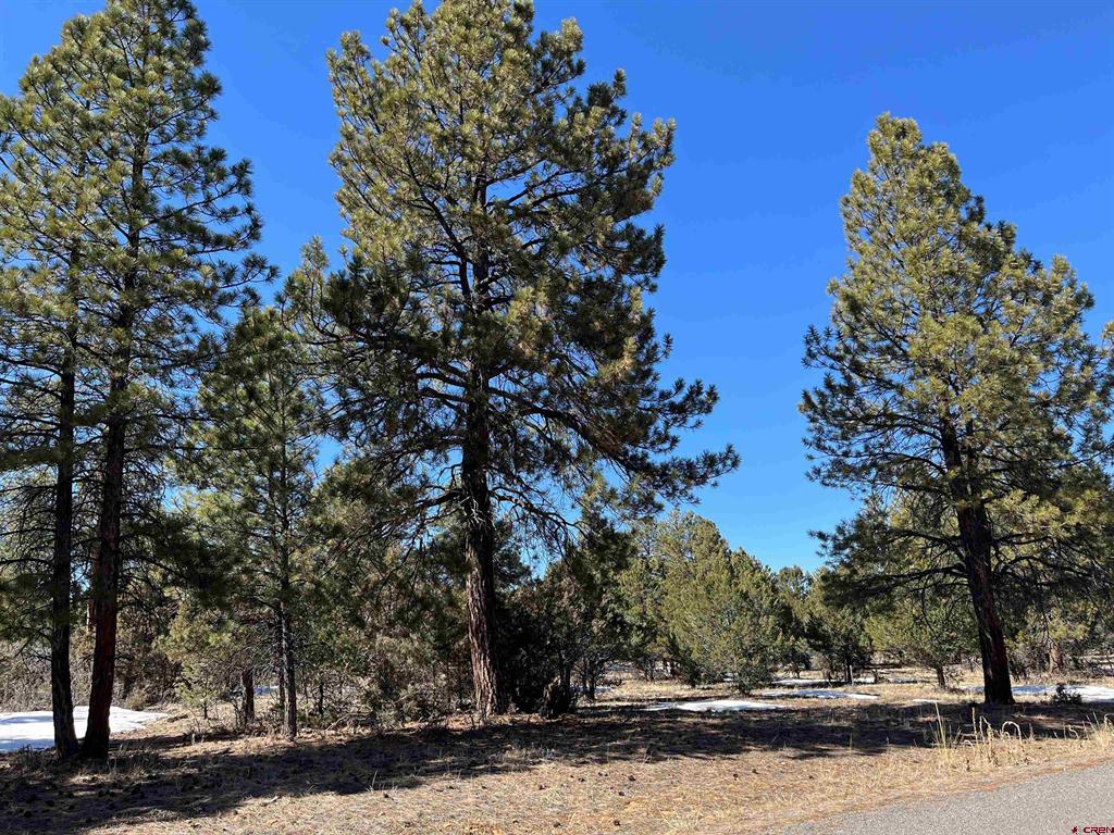 Tbd Badger Trail South Ridgway CO 81432