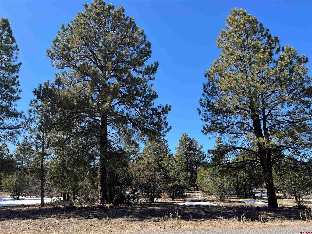 Tbd Badger Trail South Ridgway CO 81432