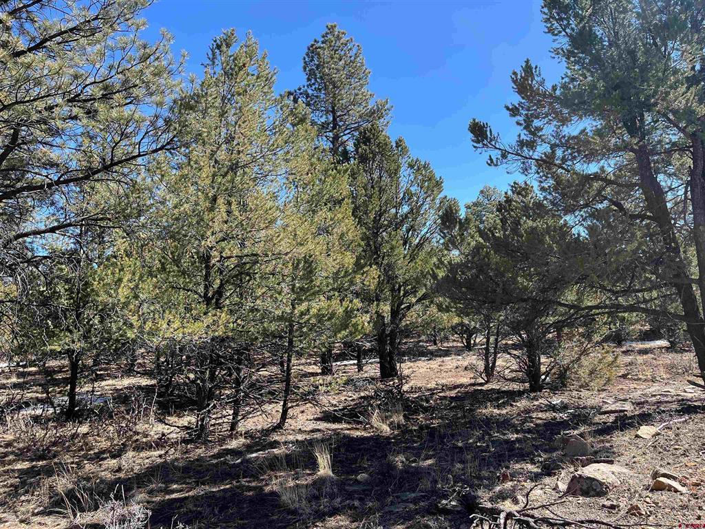 Tbd Badger Trail South Ridgway CO 81432