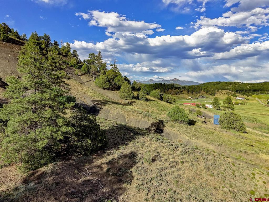 125 Dandelion Court Pagosa Springs CO 81147