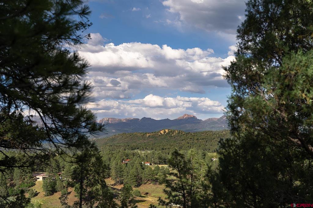 125 Dandelion Court Pagosa Springs CO 81147