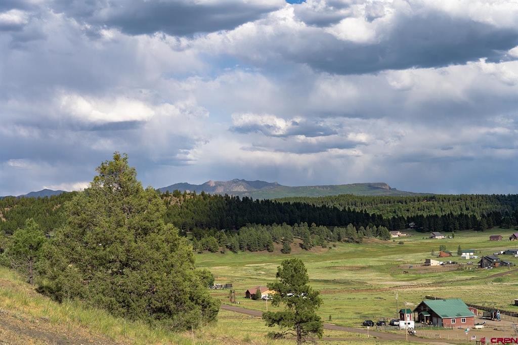 125 Dandelion Court Pagosa Springs CO 81147