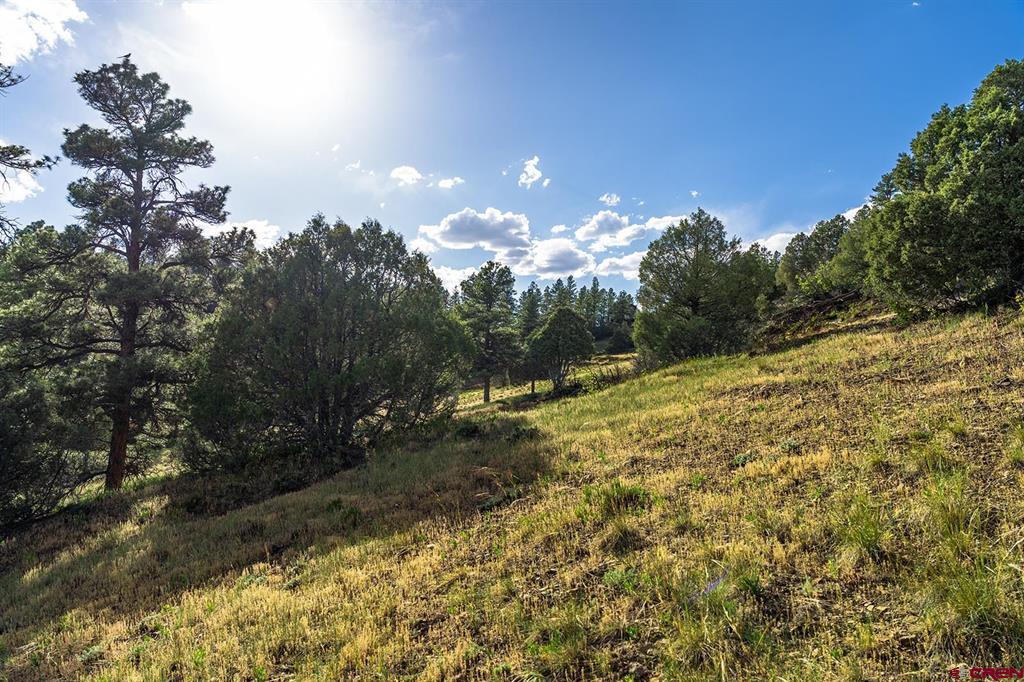 125 Dandelion Court Pagosa Springs CO 81147