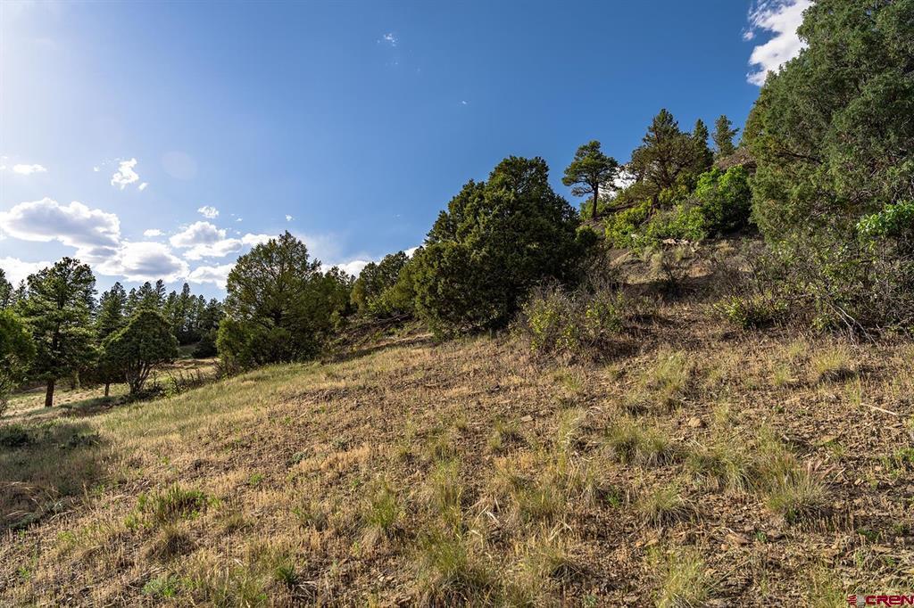 125 Dandelion Court Pagosa Springs CO 81147