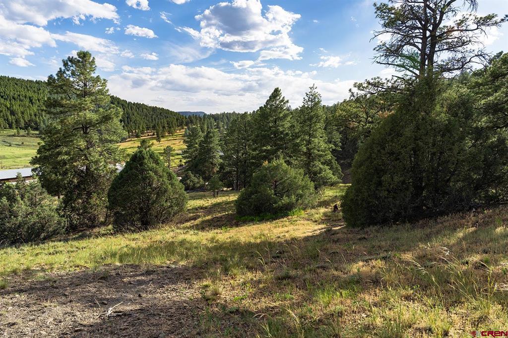 125 Dandelion Court Pagosa Springs CO 81147