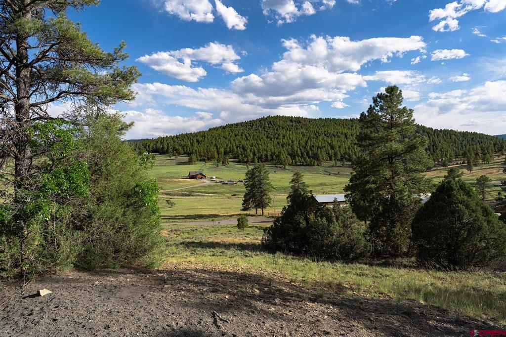 125 Dandelion Court Pagosa Springs CO 81147