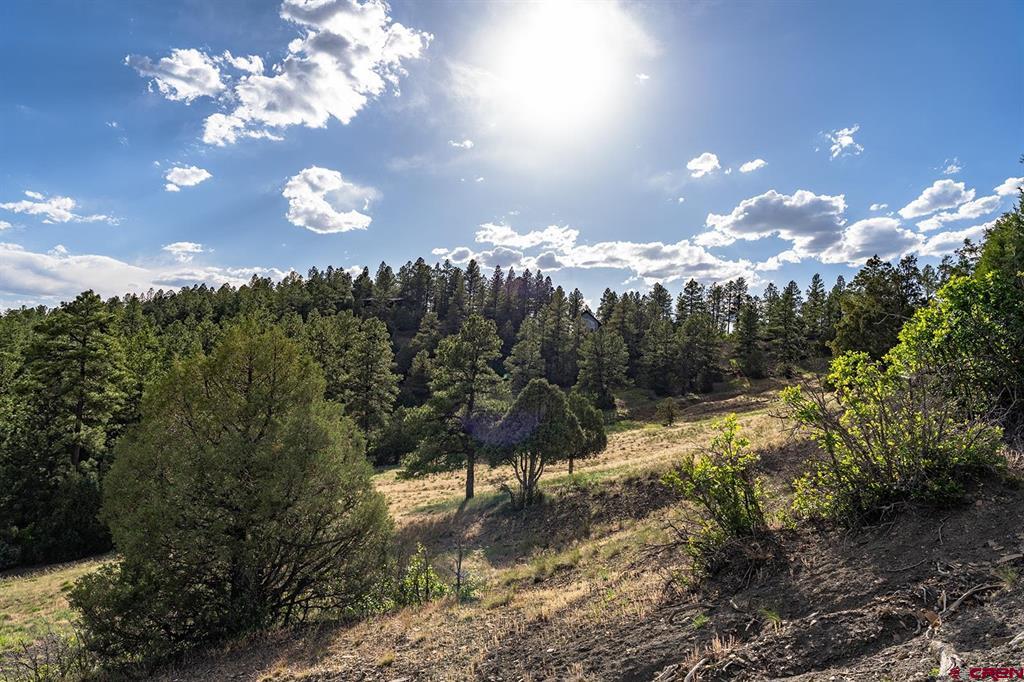 125 Dandelion Court Pagosa Springs CO 81147