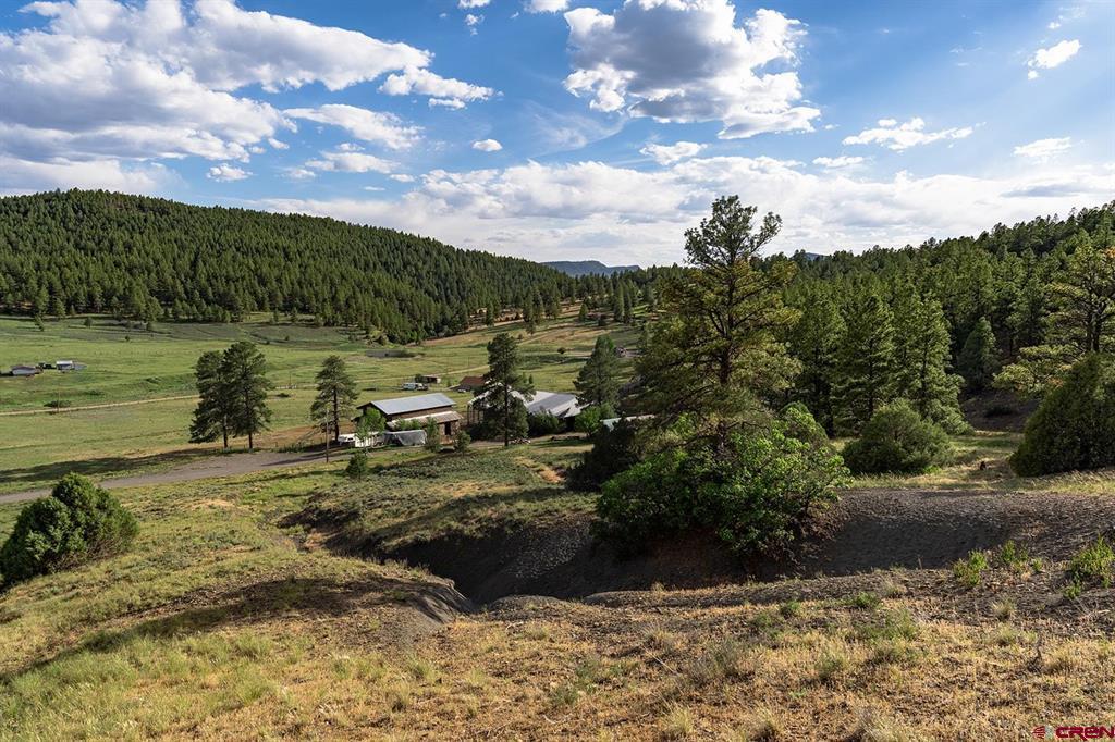 125 Dandelion Court Pagosa Springs CO 81147