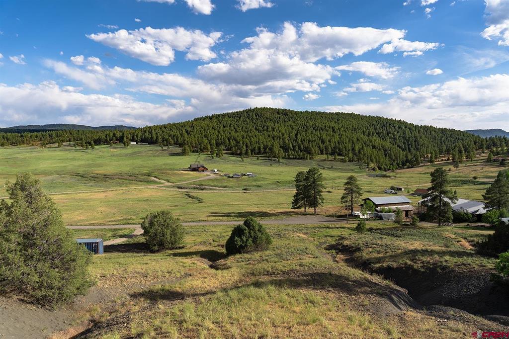 125 Dandelion Court Pagosa Springs CO 81147