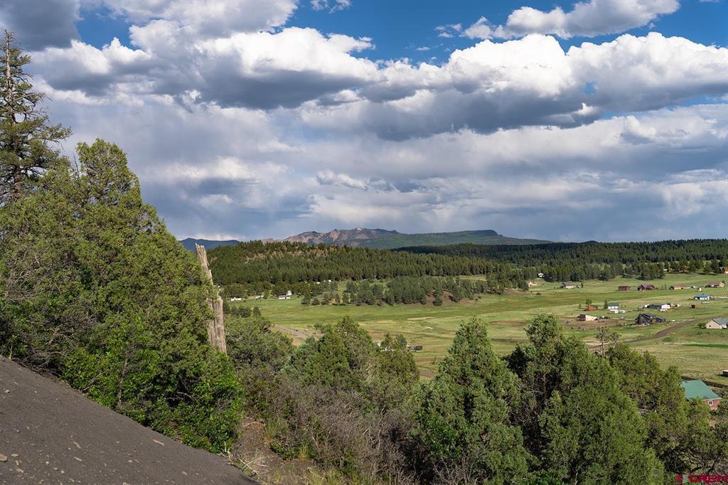 125 Dandelion Court Pagosa Springs CO 81147