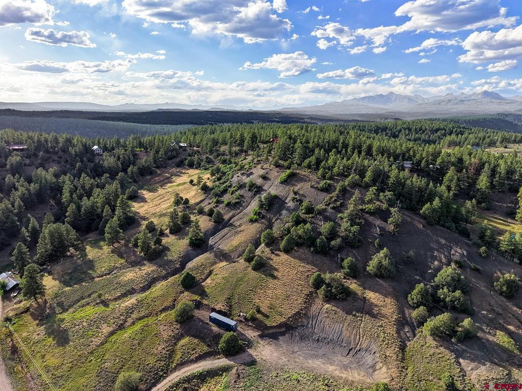 125 Dandelion Court Pagosa Springs CO 81147