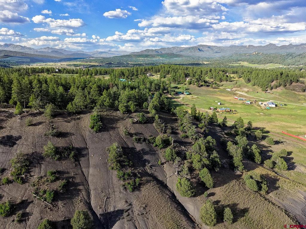 125 Dandelion Court Pagosa Springs CO 81147