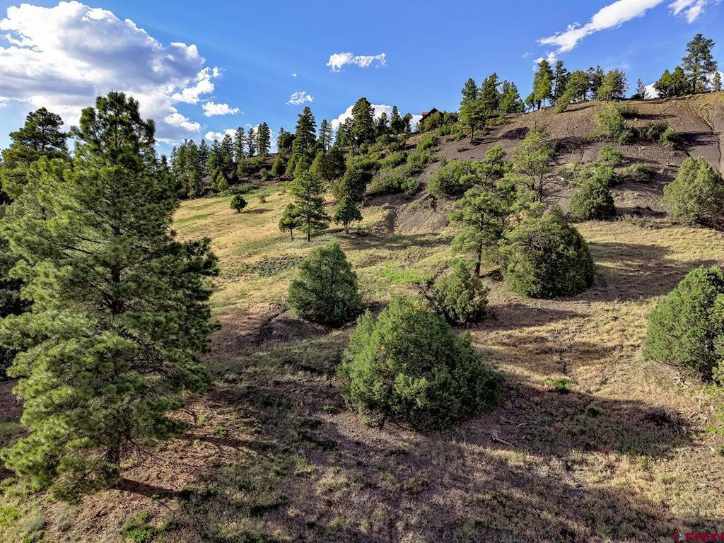 125 Dandelion Court Pagosa Springs CO 81147