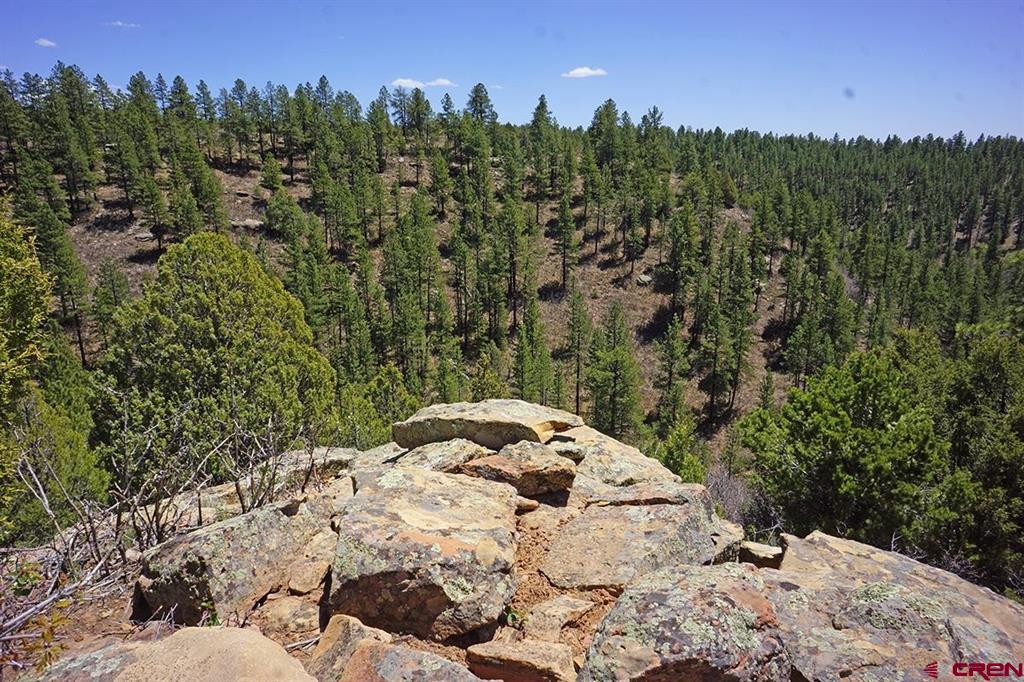 6 Tbd Road T.7 Mancos CO 81328