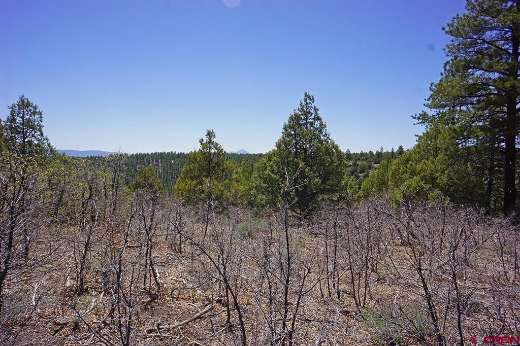 6 Tbd Road T.7 Mancos CO 81328