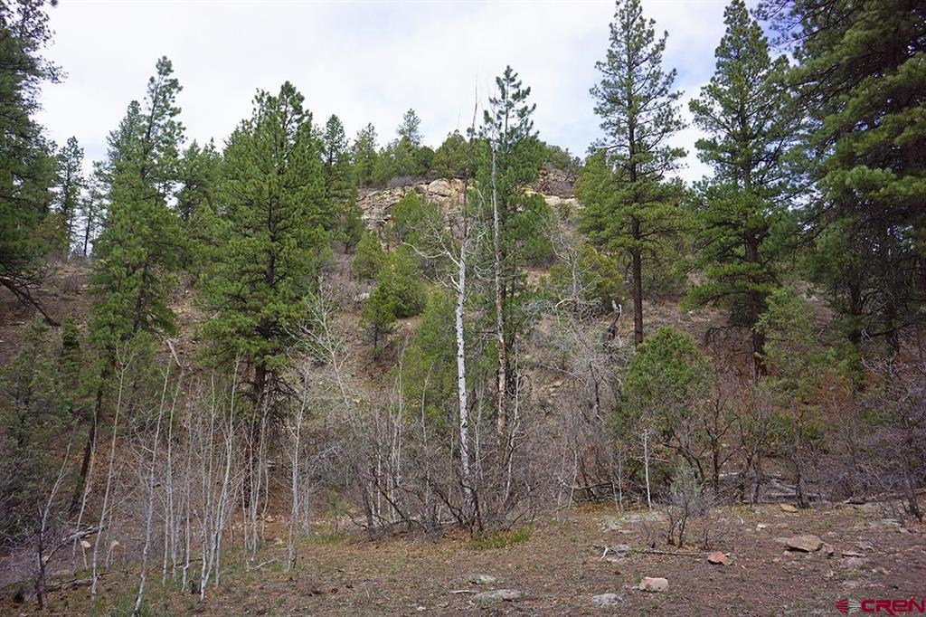 6 Tbd Road T.7 Mancos CO 81328