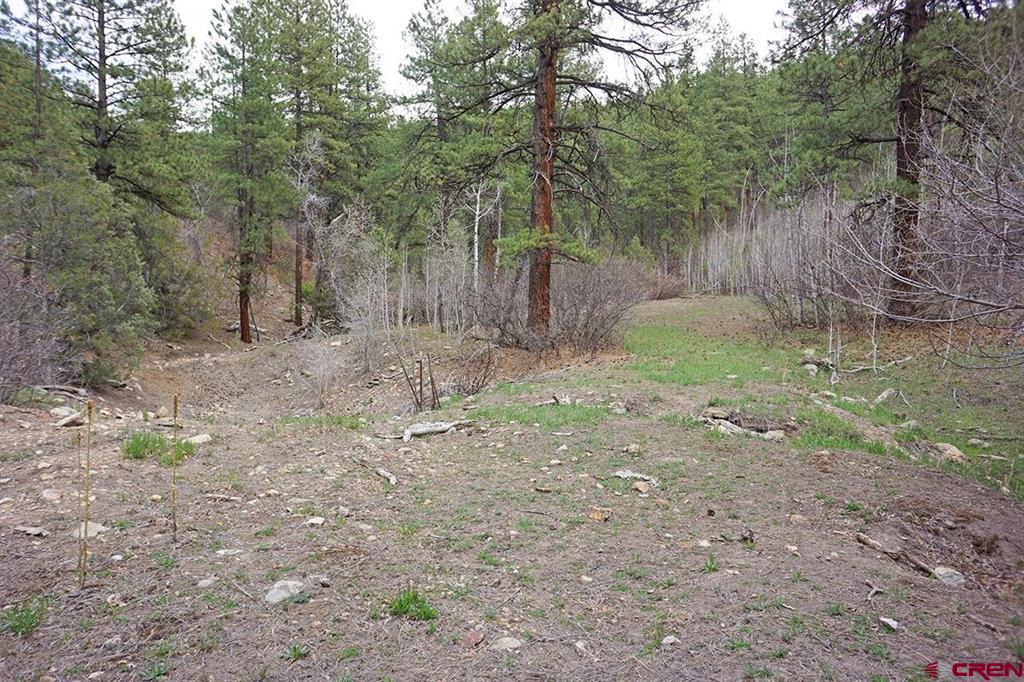 6 Tbd Road T.7 Mancos CO 81328