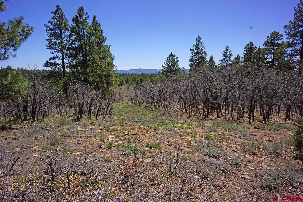 6 Tbd Road T.7 Mancos CO 81328